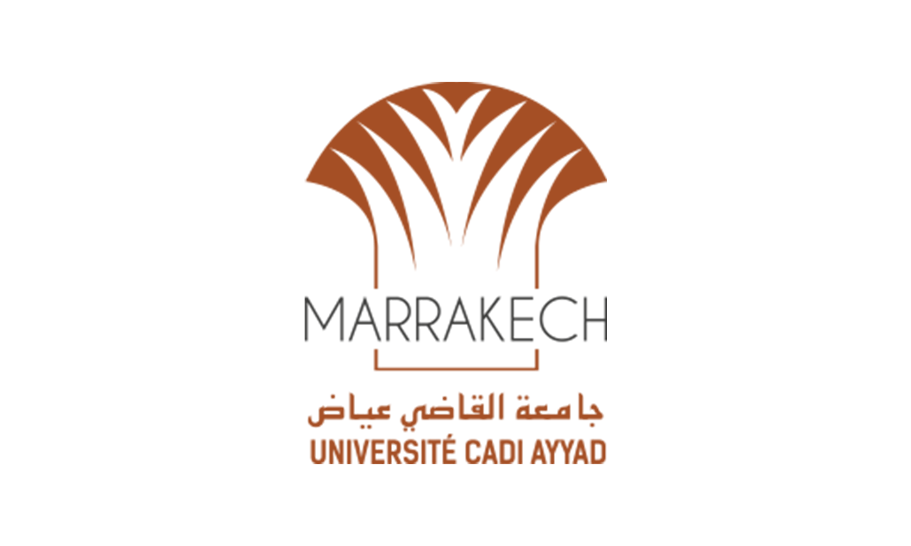 IIOE 摩洛哥国家中心